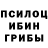 Псилоцибиновые грибы мицелий gdd1906