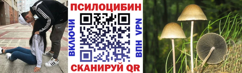 Галлюциногенные грибы ЛСД  Волгореченск 